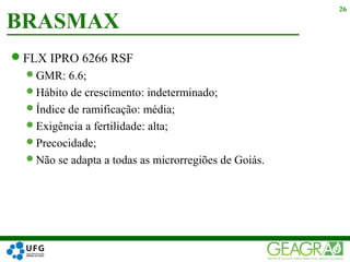 FLX IPRO 6266 RSF
GMR: 6.6;
Hábito de crescimento: indeterminado;
Índice de ramificação: média;
Exigência a fertilidade: alta;
Precocidade;
Não se adapta a todas as microrregiões de Goiás.
BRASMAX
26
 