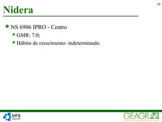 NS 6906 IPRO - Centro
GMR: 7.0;
Hábito de crescimento: indeterminado.
Nidera
28
 