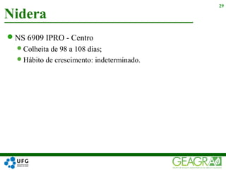 NS 6909 IPRO - Centro
Colheita de 98 a 108 dias;
Hábito de crescimento: indeterminado.
Nidera
29
 