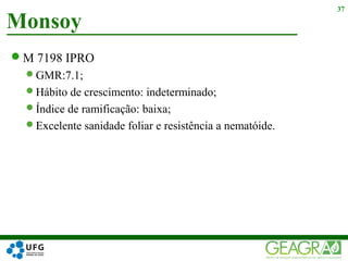M 7198 IPRO
GMR:7.1;
Hábito de crescimento: indeterminado;
Índice de ramificação: baixa;
Excelente sanidade foliar e resistência a nematóide.
Monsoy
37
 