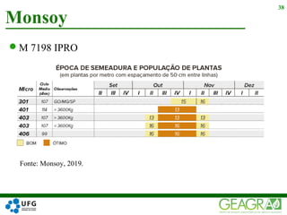 M 7198 IPRO
Monsoy
38
Fonte: Monsoy, 2019.
 