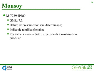 M 7739 IPRO
GMR: 7.7;
Hábito de crescimento: semideterminado;
Índice de ramificação: alta;
Resistência a nematóide e excelente desenvolvimento
radicular.
Monsoy
39
 