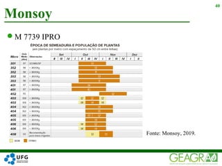 M 7739 IPRO
Monsoy
40
Fonte: Monsoy, 2019.
 