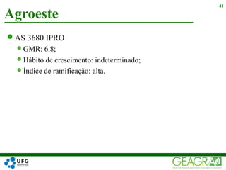 AS 3680 IPRO
GMR: 6.8;
Hábito de crescimento: indeterminado;
Índice de ramificação: alta.
Agroeste
41
 