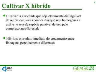 Cultivar: a variedade que seja claramente distinguível
de outras cultivares conhecidas que seja homogênea e
estável e seja de espécie passível de uso pelo
complexo agroflorestal;
Híbrido: o produto imediato do cruzamento entre
linhagens geneticamente diferentes.
Cultivar X híbrido
5
 