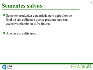 Semente produzida e guardada pelo agricultor ao
final de sua colheita e que se prestará para seu
exclusivo plantio na safra futura;
Apenas em cultivares.
Sementes salvas
6
 