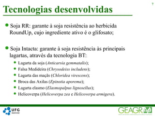 Soja RR: garante à soja resistência ao herbicida
RoundUp, cujo ingrediente ativo é o glifosato;
Soja Intacta: garante à soja resistência às principais
lagartas, através da tecnologia BT:
Tecnologias desenvolvidas
7
 Lagarta da soja (Anticarsia gemmatalis);
 Falsa Medideira (Chrysodeixs includens);
 Lagarta das maçãs (Chloridea virescens);
 Broca das Axilas (Epinotia aporema);
 Lagarta elasmo (Elasmopalpus lignosellus);
 Helicoverpa (Helicoverpa zea e Helicoverpa armigera).
 