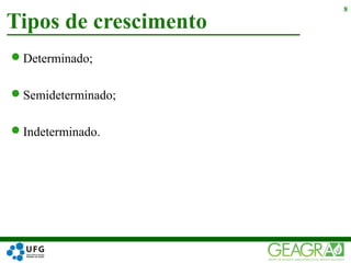 Determinado;
Semideterminado;
Indeterminado.
Tipos de crescimento
8
 