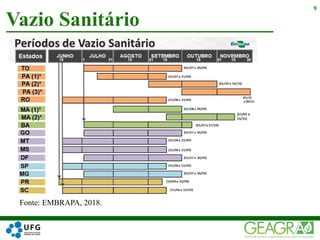 Vazio Sanitário
9
Fonte: EMBRAPA, 2018.
 