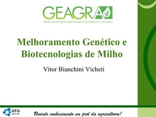 Unindo conhecimento em prol da agricultura!
Melhoramento Genético e
Biotecnologias de Milho
Vitor Bianchini Vicheti
 