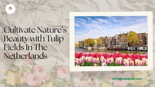 Cultivate Nature’s
Beauty with Tulip
Fields In The
Netherlands
thriveandwander.com
thriveandwander.com
 