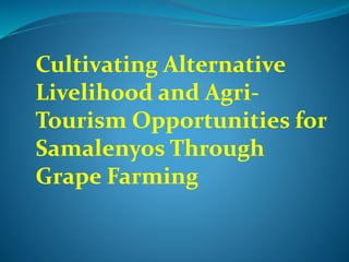 Cultivating Alternative
Livelihood and Agri-
Tourism Opportunities for
Samalenyos Through
Grape Farming
 
