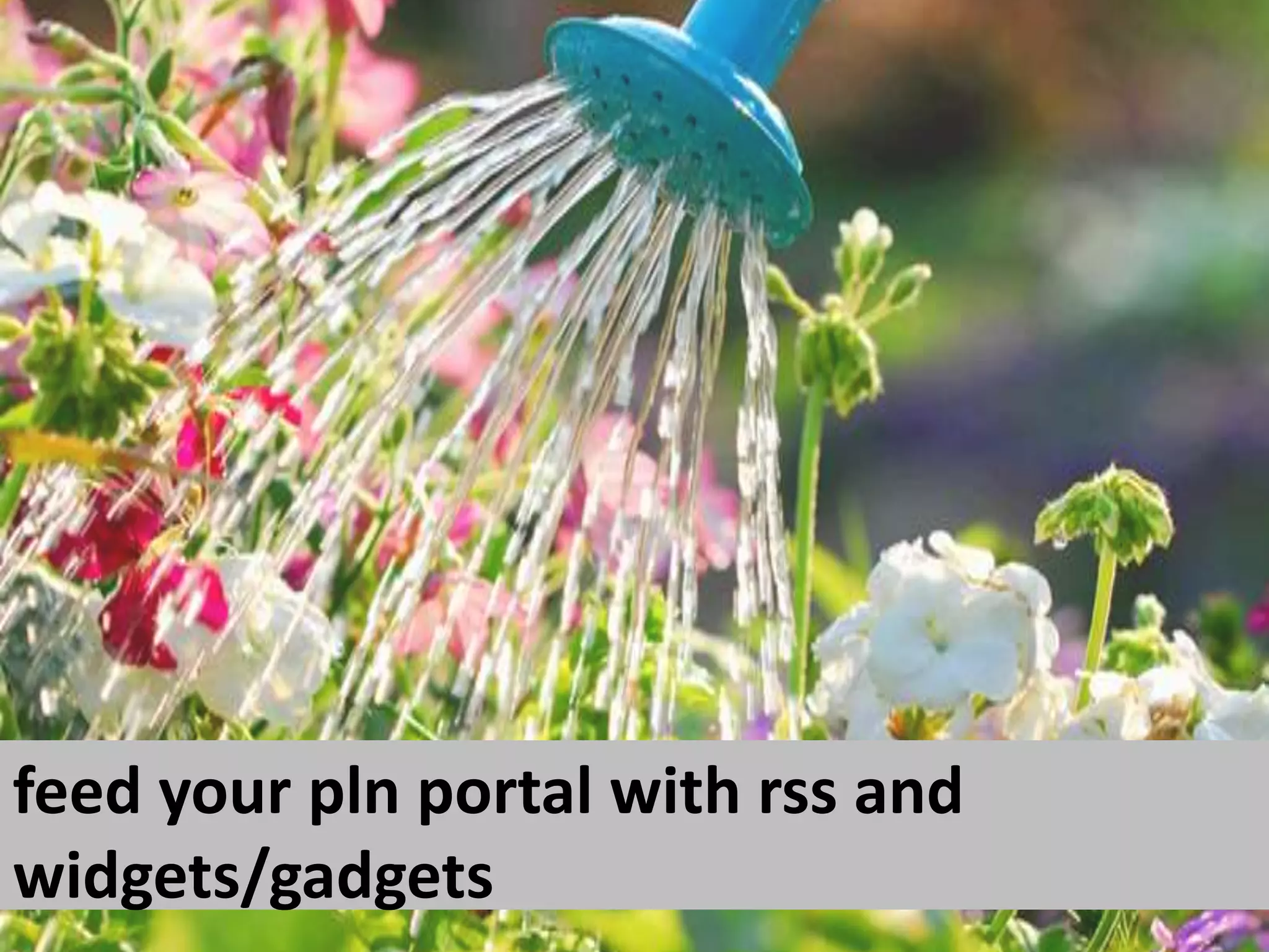 feed your pln portal with rss and widgets/gadgets 