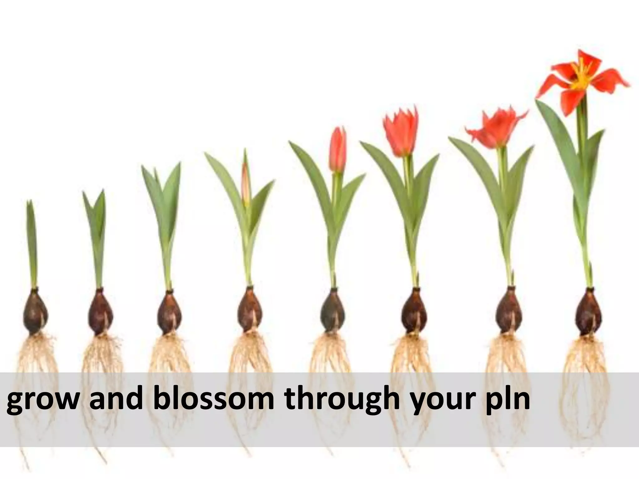 grow and blossom through your pln