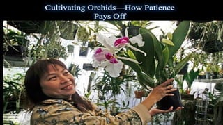 Cultivating orchids