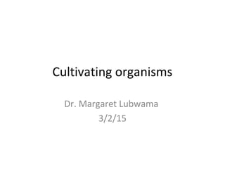 Cultivating organisms
Dr. Margaret Lubwama
3/2/15
 