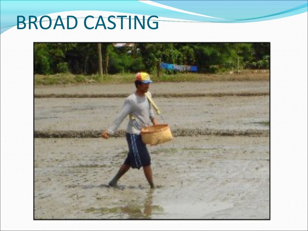 Cultivation Collection And Processing Of Crude Drugs