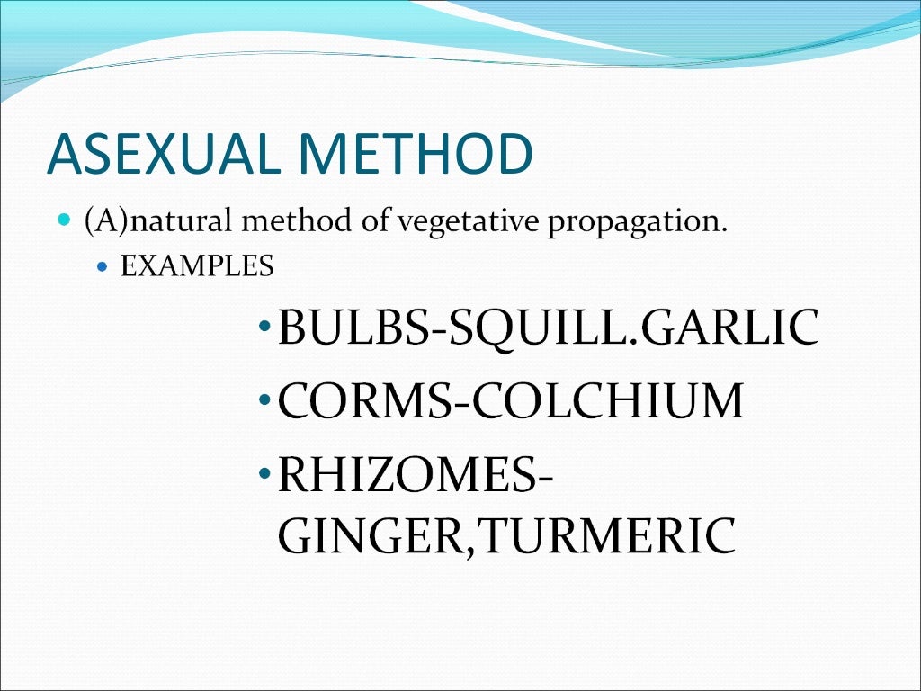Cultivation Collection And Processing Of Crude Drugs