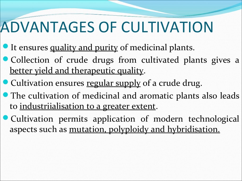 Cultivation Collection And Processing Of Crude Drugs