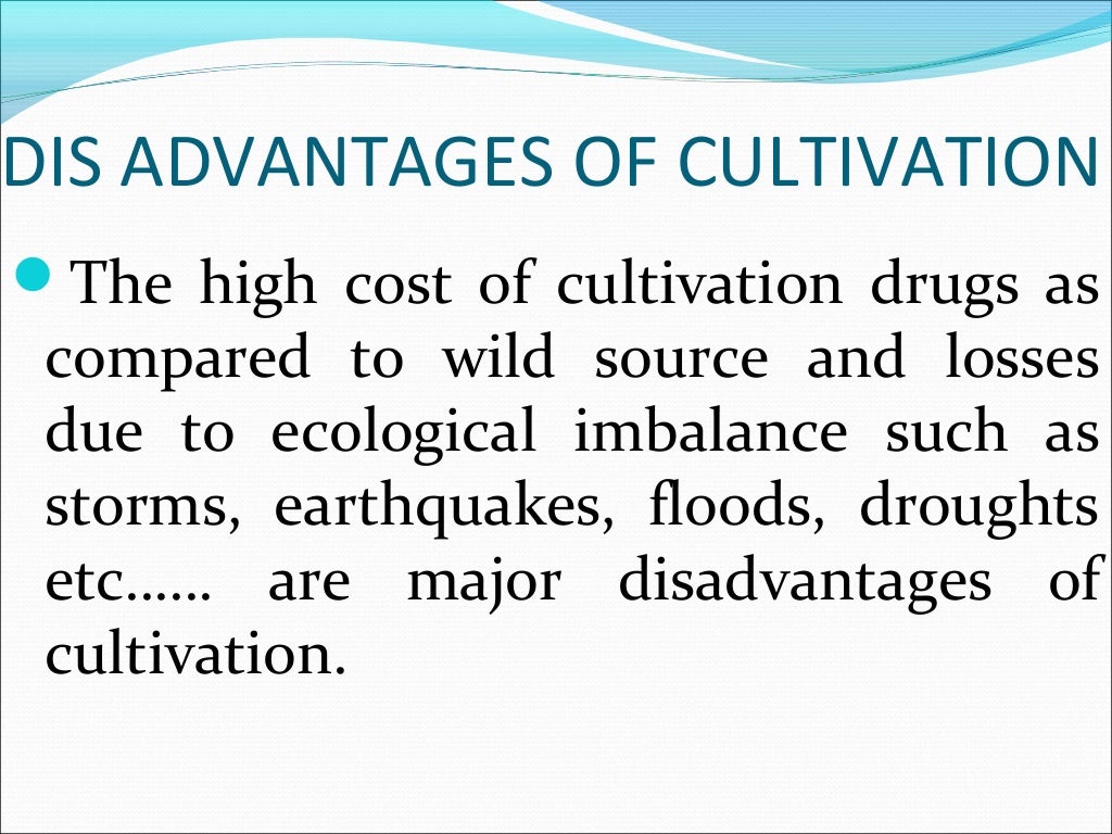 Cultivation Collection And Processing Of Crude Drugs