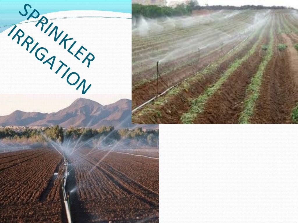 Cultivation Collection And Processing Of Crude Drugs