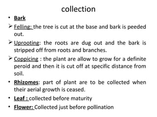 collection
• Bark
 Felling: the tree is cut at the base and bark is peeded
out.
 Uprooting: the roots are dug out and the bark is
stripped off from roots and branches.
 Coppicing : the plant are allow to grow for a definite
peroid and then it is cut off at specific distance from
soil.
• Rhizomes: part of plant are to be collected when
their aerial growth is ceased.
• Leaf : collected before maturity
• Flower: Collected just before pollination
 