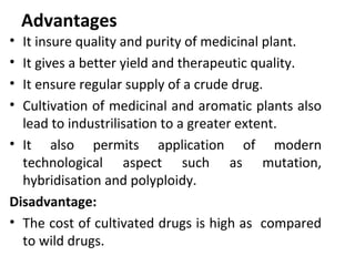 Advantages
• It insure quality and purity of medicinal plant.
• It gives a better yield and therapeutic quality.
• It ensure regular supply of a crude drug.
• Cultivation of medicinal and aromatic plants also
lead to industrilisation to a greater extent.
• It also permits application of modern
technological aspect such as mutation,
hybridisation and polyploidy.
Disadvantage:
• The cost of cultivated drugs is high as compared
to wild drugs.
 