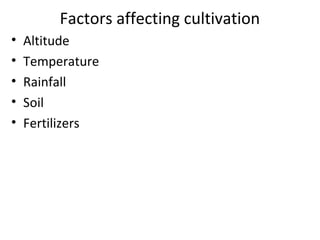 Factors affecting cultivation
• Altitude
• Temperature
• Rainfall
• Soil
• Fertilizers
 