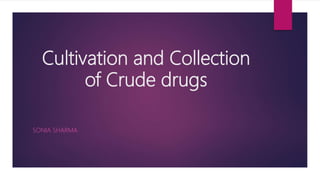 Cultivation and Collection
of Crude drugs
SONIA SHARMA
 