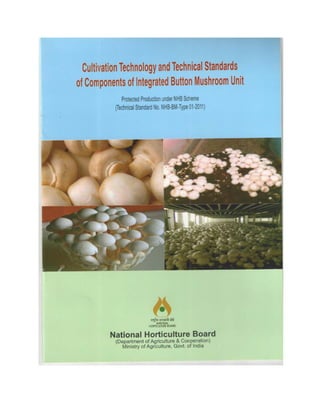 Production technology for button mashroom