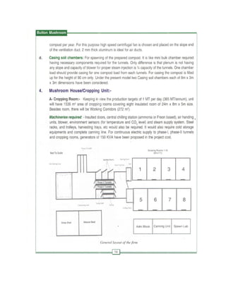 Production technology for button mashroom