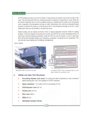 Production technology for button mashroom