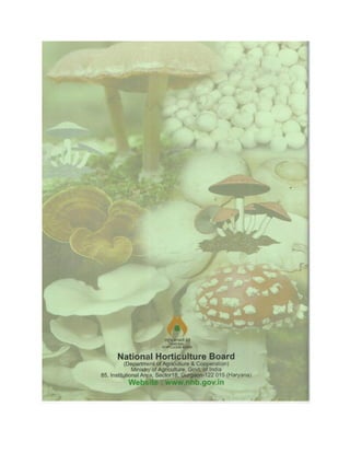 Production technology for button mashroom
