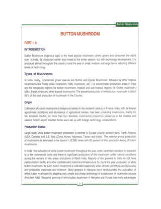 Production technology for button mashroom