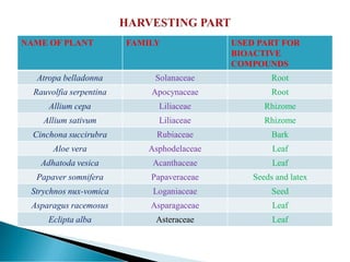 NAME OF PLANT FAMILY USED PART FOR
BIOACTIVE
COMPOUNDS
Atropa belladonna Solanaceae Root
Rauvolfia serpentina Apocynaceae Root
Allium cepa Liliaceae Rhizome
Allium sativum Liliaceae Rhizome
Cinchona succirubra Rubiaceae Bark
Aloe vera Asphodelaceae Leaf
Adhatoda vesica Acanthaceae Leaf
Papaver somnifera Papaveraceae Seeds and latex
Strychnos nux-vomica Loganiaceae Seed
Asparagus racemosus Asparagaceae Leaf
Eclipta alba Asteraceae Leaf
 