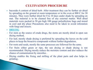  bacoside-A content of dried herb. After treatment they can be further air dried
by spreading on the ground at room temperature or in the oven at 800 C for 30
minutes. They were further dried for 8 to 10 days under shade by spreading on
mat. The material is to be cleaned free of any external matter. Well dried
materials were packed in 50 gm high 100 guage polyethylene bags and stored
in cool and dry place Precautions also need to be taken to avoid infestation
with fungi and insects.
 DRYING
 For stem as the source of crude drugs, the stems are mostly dried in open sun
drying method,
 For leaf, mostly shade drying is preferred by spreading the leaves on the cold
places to keep the bioactive compounds without further degradation,
 For roots and seeds, mostly the same processes are followed for the same.
 For fruits either green or ripe, the sun drying or shade drying is not
recommended. Drying mostly reduce the moisture content and also reduces the
chance of contamination by microbes .
 Drying enables the fixing and milling of the plant parts and also helps in
grinding .
 