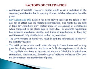  conditions of rainfall. Excessive rainfall could cause a reduction in the
secondary metabolites due to leaching of water soluble substances from the
plants.
 Day Length and Day Light It has been proved that even the length of the
day has an effect over the metabolites production. The plants that are kept
in long day conditions may contain more or less amount of constituents
when compared to the plants kept in short day. For example peppermint
has produced menthone, menthol and traces of menthofuran in long day
conditions and only menthofuran in short day condition.
 The developments of plants vary much in both the amount and intensity of
the light they require.
 The wild grown plants would meet the required conditions and so they
grow but during cultivation we have to fulfill the requirements of plants.
The day light was found to increase the amount of alkaloids in belladonna,
stramonium, cinchona, etc. Even the type of radiation too has an effect over
the development and metabolites of plants.
 