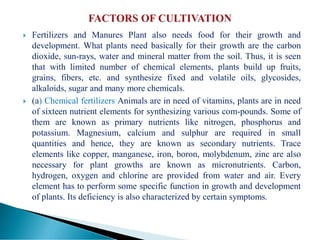  Fertilizers and Manures Plant also needs food for their growth and
development. What plants need basically for their growth are the carbon
dioxide, sun-rays, water and mineral matter from the soil. Thus, it is seen
that with limited number of chemical elements, plants build up fruits,
grains, fibers, etc. and synthesize fixed and volatile oils, glycosides,
alkaloids, sugar and many more chemicals.
 (a) Chemical fertilizers Animals are in need of vitamins, plants are in need
of sixteen nutrient elements for synthesizing various com-pounds. Some of
them are known as primary nutrients like nitrogen, phosphorus and
potassium. Magnesium, calcium and sulphur are required in small
quantities and hence, they are known as secondary nutrients. Trace
elements like copper, manganese, iron, boron, molybdenum, zinc are also
necessary for plant growths are known as micronutrients. Carbon,
hydrogen, oxygen and chlorine are provided from water and air. Every
element has to perform some specific function in growth and development
of plants. Its deficiency is also characterized by certain symptoms.
 