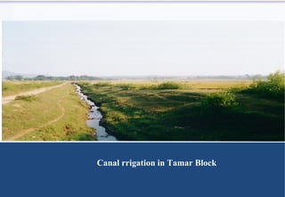 Canal rrigation in Tamar Block 