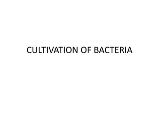 CULTIVATION OF BACTERIA
 