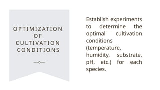 O P T I M I Z AT I O N
O F
C U L T I VAT I O N
C O N D I T I O N S
Establish experiments
to determine the
optimal cultivation
conditions
(temperature,
humidity, substrate,
pH, etc.) for each
species.
 
