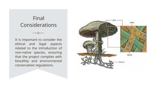 Final
Considerations
It is important to consider the
ethical and legal aspects
related to the introduction of
non-native species, ensuring
that the project complies with
biosafety and environmental
conservation regulations.
 