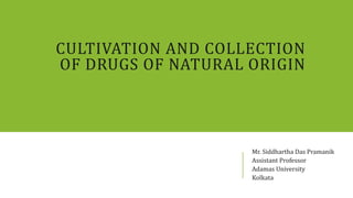CULTIVATION AND COLLECTION
OF DRUGS OF NATURAL ORIGIN
Mr. Siddhartha Das Pramanik
Assistant Professor
Adamas University
Kolkata
 