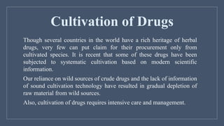 Cultivation of Drugs
Though several countries in the world have a rich heritage of herbal
drugs, very few can put claim for their procurement only from
cultivated species. It is recent that some of these drugs have been
subjected to systematic cultivation based on modern scientific
information.
Our reliance on wild sources of crude drugs and the lack of information
of sound cultivation technology have resulted in gradual depletion of
raw material from wild sources.
Also, cultivation of drugs requires intensive care and management.
 