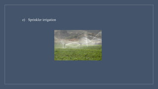 e) Sprinkler irrigation
 