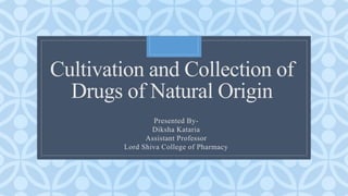 C
Cultivation and Collection of
Drugs of Natural Origin
Presented By-
Diksha Kataria
Assistant Professor
Lord Shiva College of Pharmacy
 