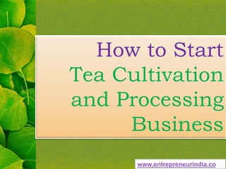 How to Start
Tea Cultivation
and Processing
Business
www.entrepreneurindia.co
 