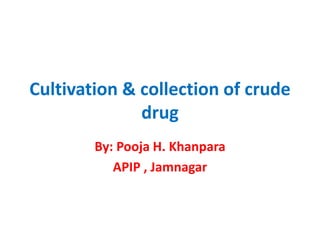 Cultivation & collection of crude
drug
By: Pooja H. Khanpara
APIP , Jamnagar
 