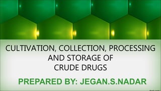 CULTIVATION, COLLECTION, PROCESSING
AND STORAGE OF
CRUDE DRUGS
PREPARED BY: JEGAN.S.NADAR
 