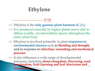 
 Ethylene is the only gaseous plant hormone (C2H4)
 It is produced naturally by higher plants and is able to
diffuse readily, via intercellular spaces, throughout the
entire plant body
 Ethylene is involved primarily in plant responses to
environmental stresses such as flooding and drought,
and in response to infection, wounding and mechanical
pressure
 It also influences a wide range of developmental
processes, including shoot elongation, flowering, seed
germination, fruit ripening and leaf abscission and
senescence
3/2/2014 64
 